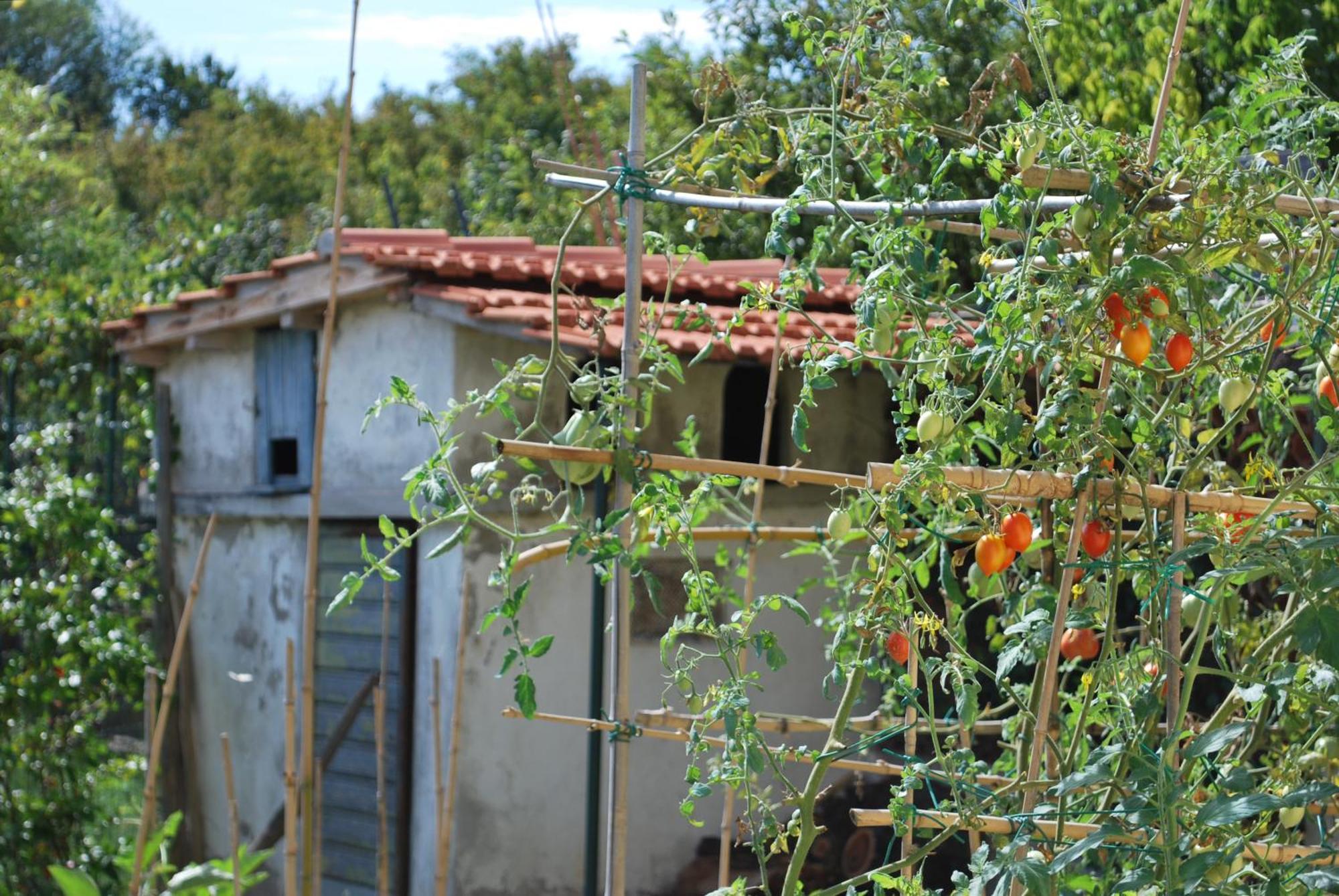 Casa S.Maria Apartman Levane Kültér fotó
